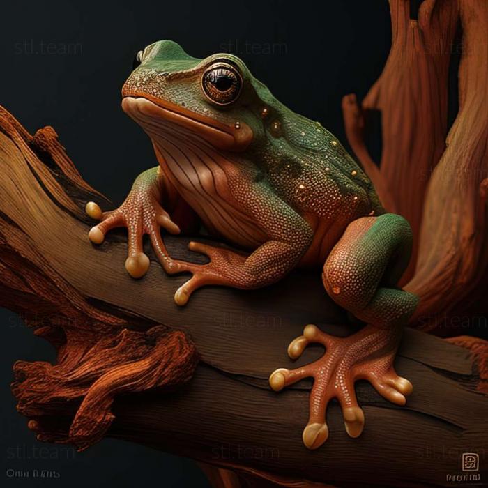 3D model Litoria dux (STL)